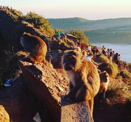 WhatsApp Image 2025-08-04 at 08.39.30